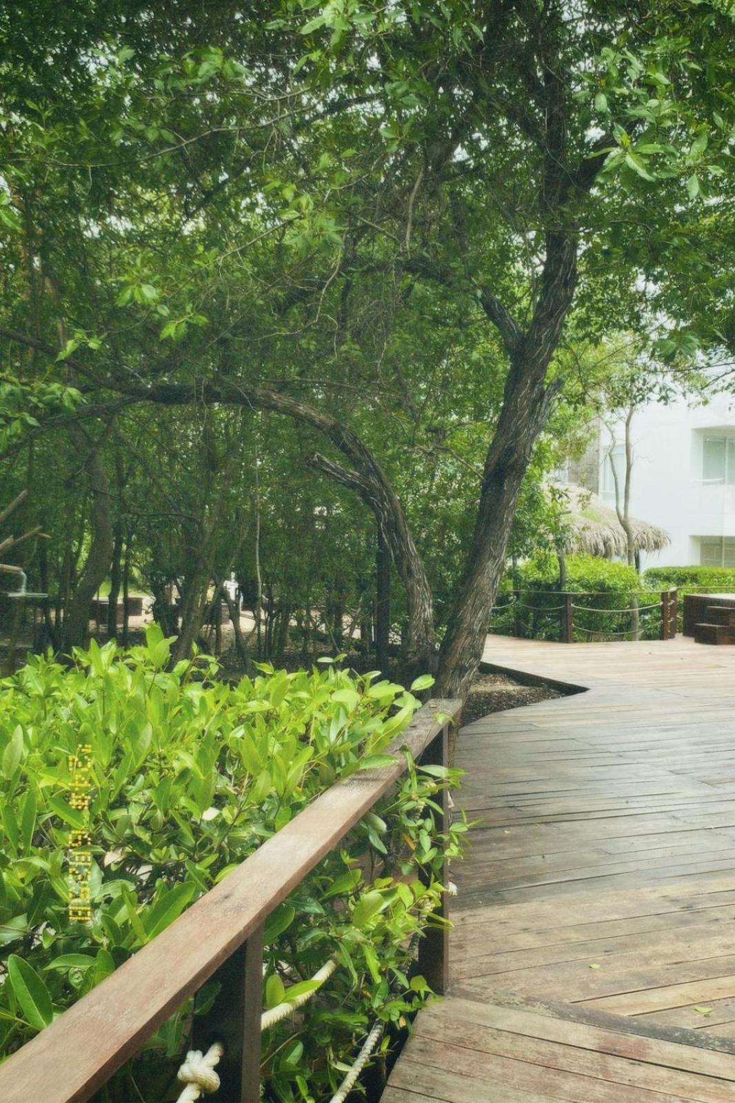 Santo Manglar Cartagena Life Wellness Spa Hotel Bagian luar foto